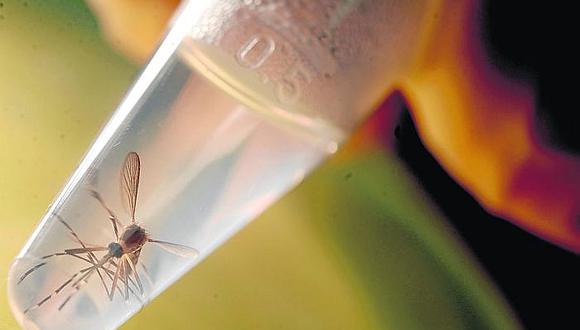 Alerta por infestación de mosco transmisor del dengue 