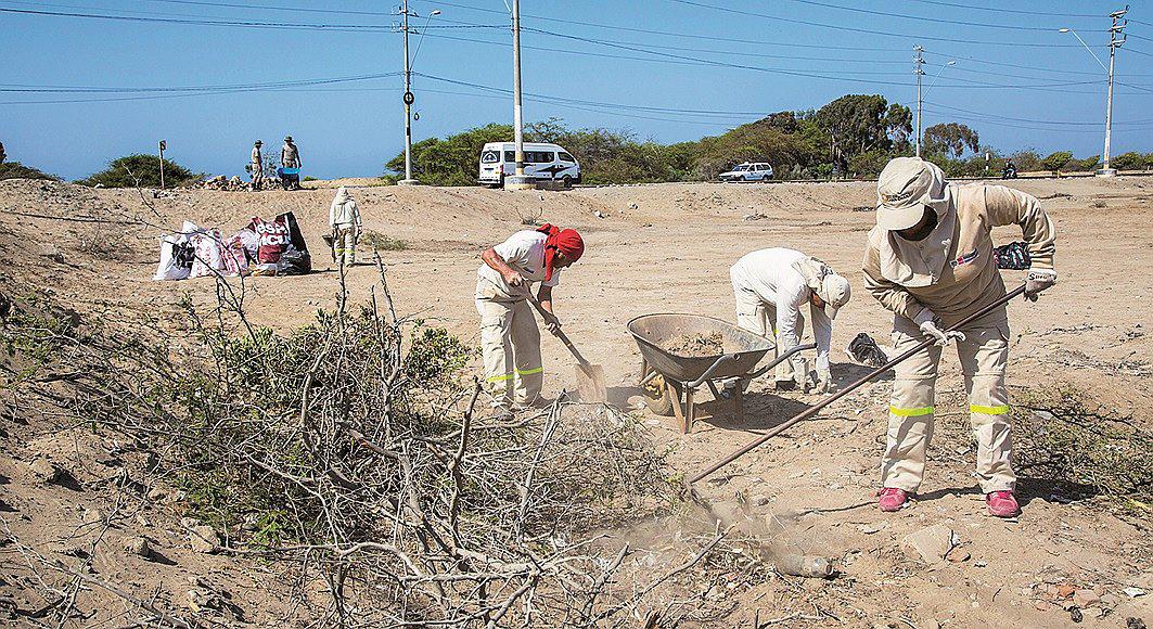Cha Chan: Limpian los caminos arqueológicos