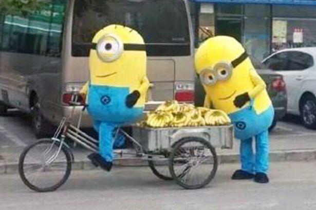 'Minions' vendiendo plátanos son detenidos por la policía