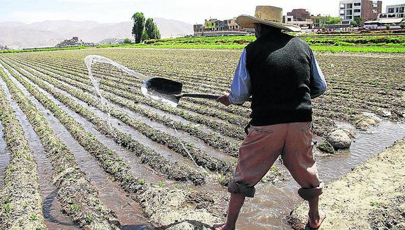 Áncash: La crisis de la agricultura por la escasez del agua 