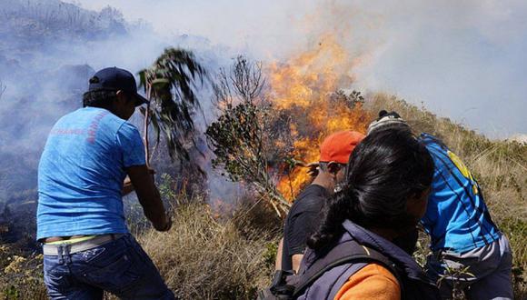 Más de 38 hectáreas de pinos y pastizales arrasados por el fuego en Andahuaylas