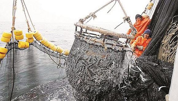Chimbote: Resultados de pesca exploratoria vienen siendo negativos