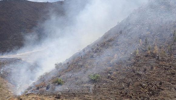 Minagri: 37 de los 43 incendios forestales ya fueron "contenidos"
