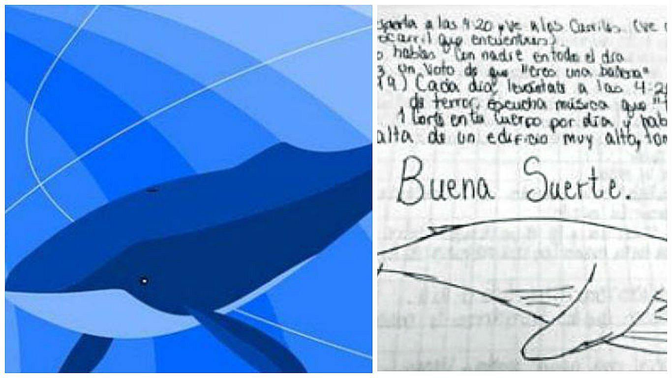 Alerta por reto de  la “Ballena azul” en Arequipa