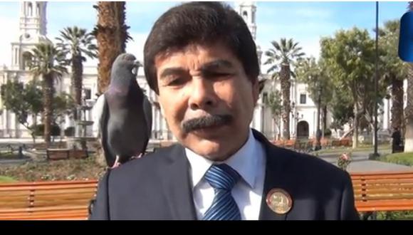 Alfredo Zegarra: Alcalde habla de eliminar palomas y estas lo "trolean" así (VIDEO)