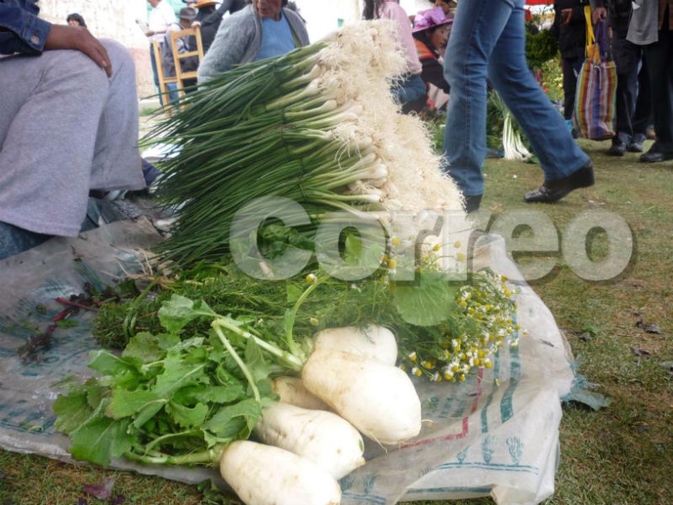 Presentan la ensalada más grande del mundo (FOTOS)