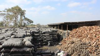 Chiclayo: Transfieren más de 50 toneladas de productos forestales a municipalidad de Picsi