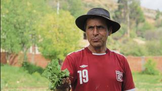 Granizada afecta cultivos del sur de Huancayo y deja miles de soles en pérdidas para el agro