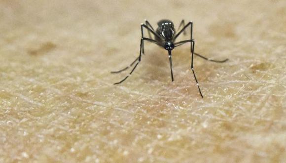 CDC indica que de acuerdo a la clasificación, el 11,93% son casos de dengue con signos de alarma y el 0,4% son dengue grave. (Foto: AFP)