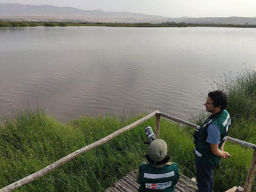 Hasta el 10 de febrero realizan censo de flamencos