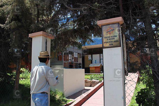 Crearán comisión para investigar a la ARMA