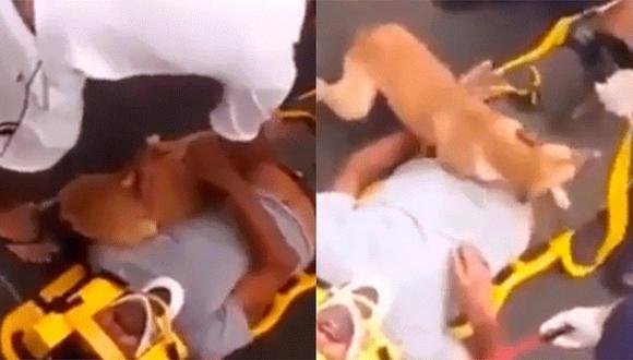 Reacción de este perrito al ver a su dueño herido está conmoviendo las redes sociales (VIDEO)