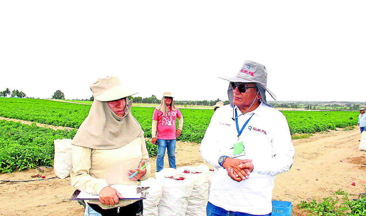 Agroindustrias sin protocolo de bioseguridad