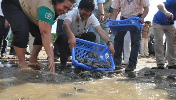 ​ Evo Morales libera 100.000 crías de tortuga en la Amazonia para repoblamiento