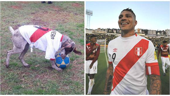 Perú vs. Colombia: Perrito de la PNP anota gol con la camiseta de Paolo Guerrero (VIDEO)
