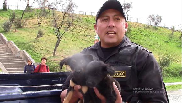 Serenos de El Tambo rescatan a perritos abandonados 