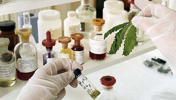 Cannabis: ​Ministerio del interior aprobó lineamientos de seguridad para uso medicinal y terapéutico