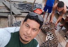 Iquitos: Hombres matan otorongo, especie en peligro de extinción, para tomarse fotos y exhibirlo como trofeo