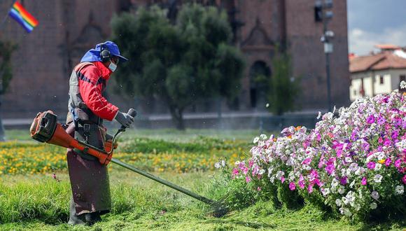 Reanudan labores de mantenimiento de parques y jardines en Cusco