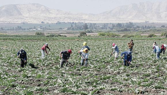Midagri se enfoca en dar subsidio a los agricultores. (Foto: GEC)