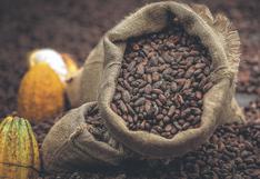 Cacao orgánico peruano está en descenso