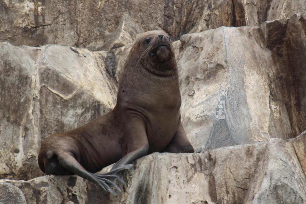 "Las loberas" un paraíso natural que debemos proteger