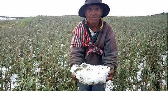 Fuerte granizada arrasa con cultivos y corta servicio de telefonía e Internet