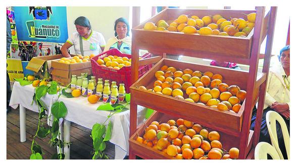 ​Huánuco produce 850 hectáreas de granadilla