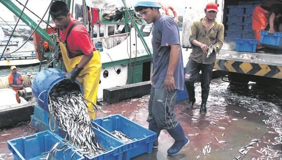 Economía peruana: Pesca cumplió meta de captura