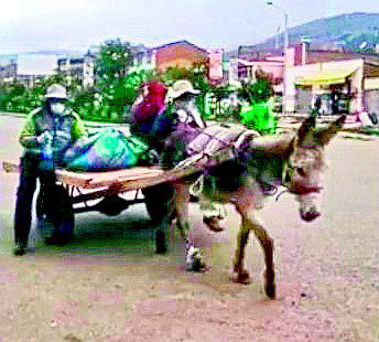 Huancayo: Agreden a mujer que grababa maltrato animal (VIDEO)