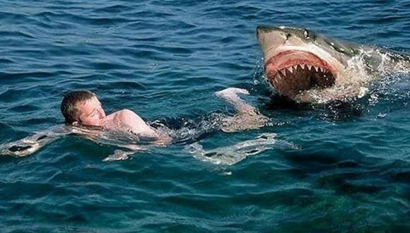 Un tiburón ataca a un surfista en una playa de Australia