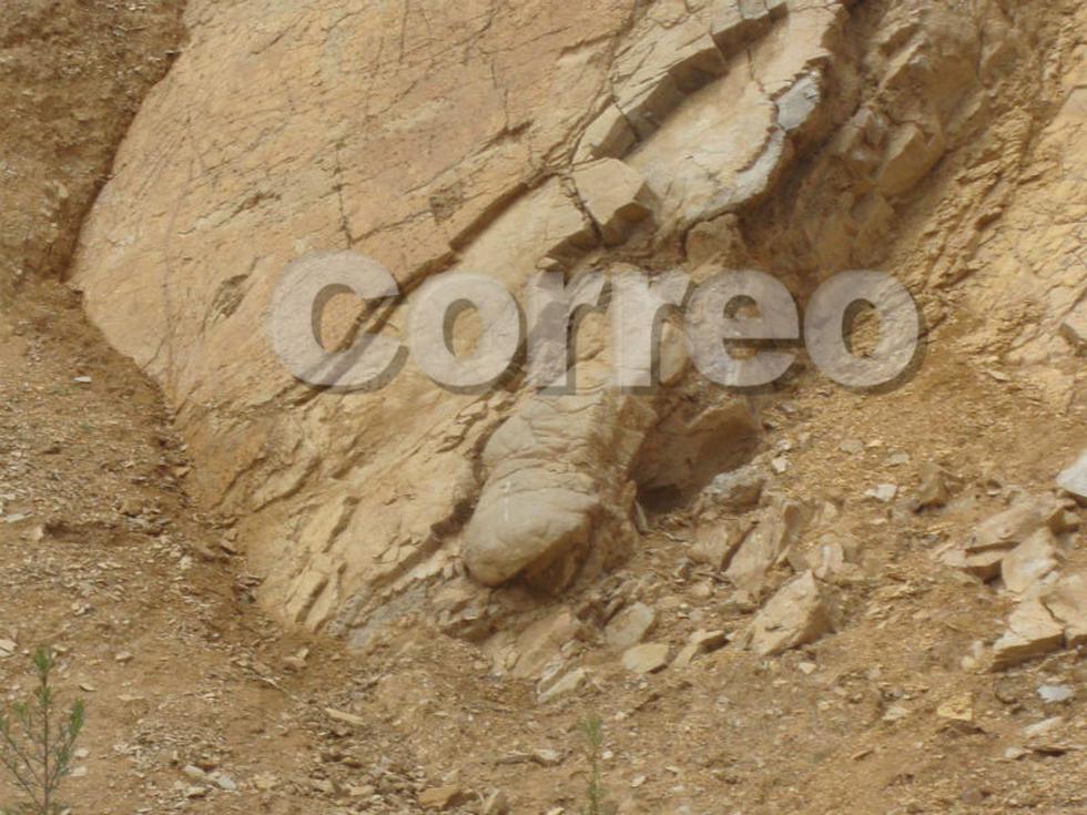 En cerro de Huachac hallan fósiles prehistóricos (VIDEO)