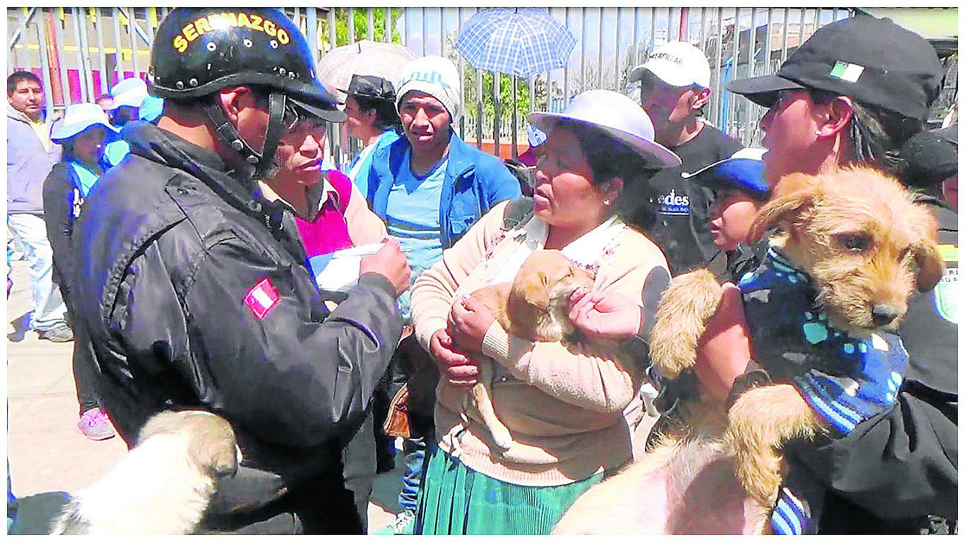 ​Serenos de Huancayo recorren calles buscando hogar para perros abandonados