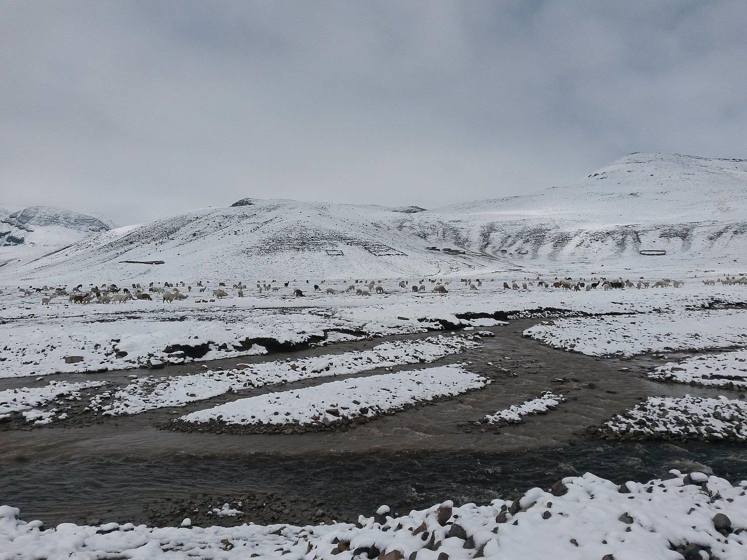 Más de cincuenta familias afectadas por granizada en poblado Chalhuanca de Caylloma