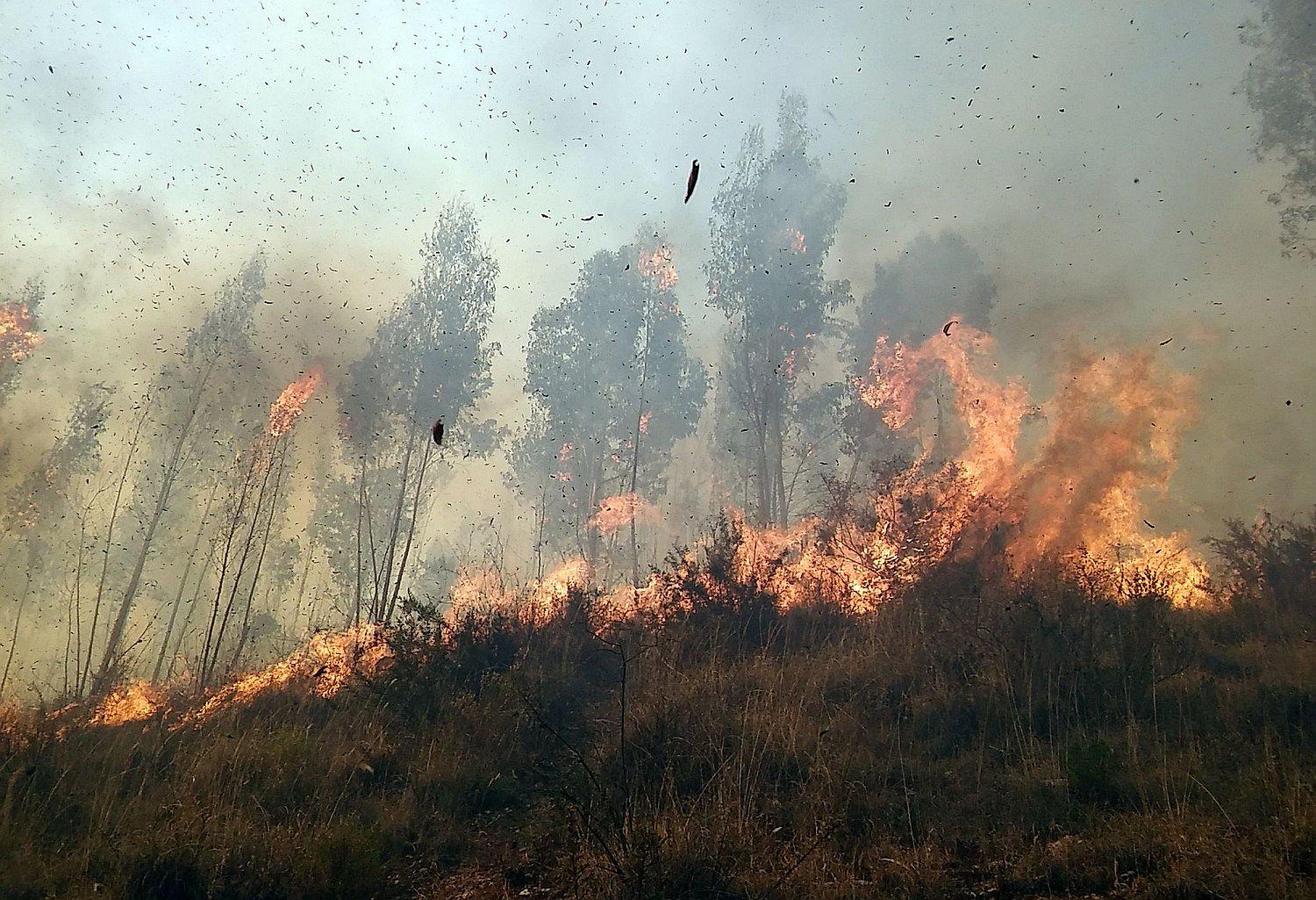 Incendio forestal amenaza casas y tierras de cultivo en La Convención