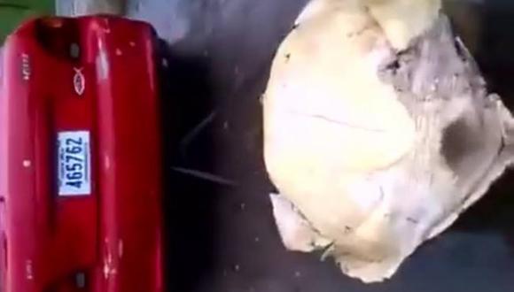 Facebook: ​Jóvenes arrastran a tortuga con auto hasta matarla (VIDEO)