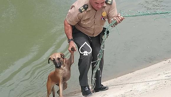 Valiente policía: oficial rescata a perrito atrapado en río de Piura (FOTOS y VIDEO)
