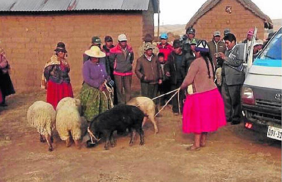 Puno: pobladores castigan a abigeos y se enfrentan a la PNP en Acora