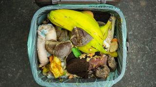 Compost en casa: cuáles son los residuos orgánicos que se pueden usar