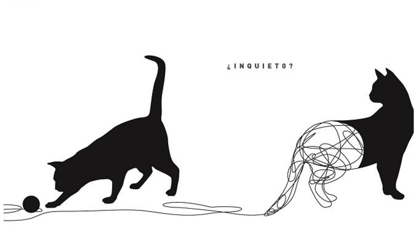 ¿Inquieto?_