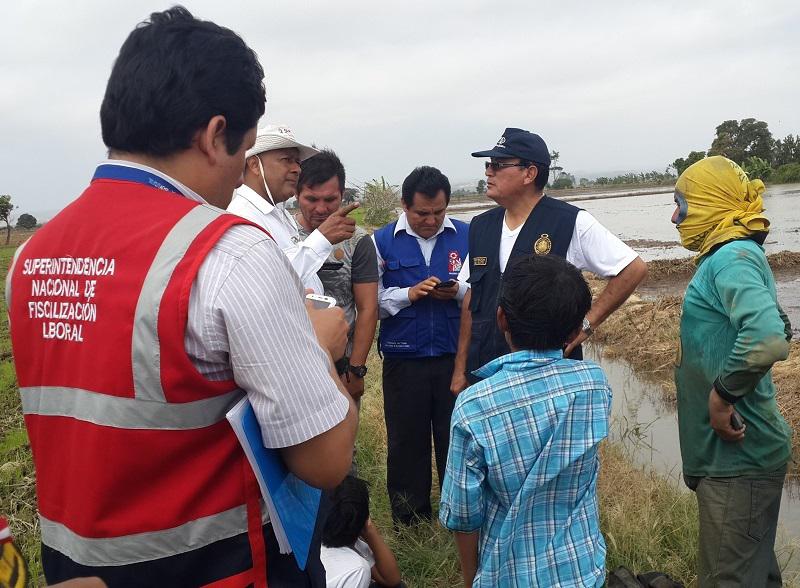 Sunafil rescata 129 menores durante operaciones de fiscalización laboral en cuatro regiones