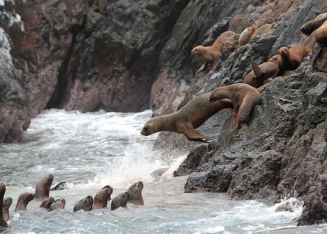 Isla San Pablo de Morro Sama sería convertido en una reserva natural