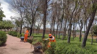 Inician mejoramiento del parque El Bosque en el distrito de Socabaya
