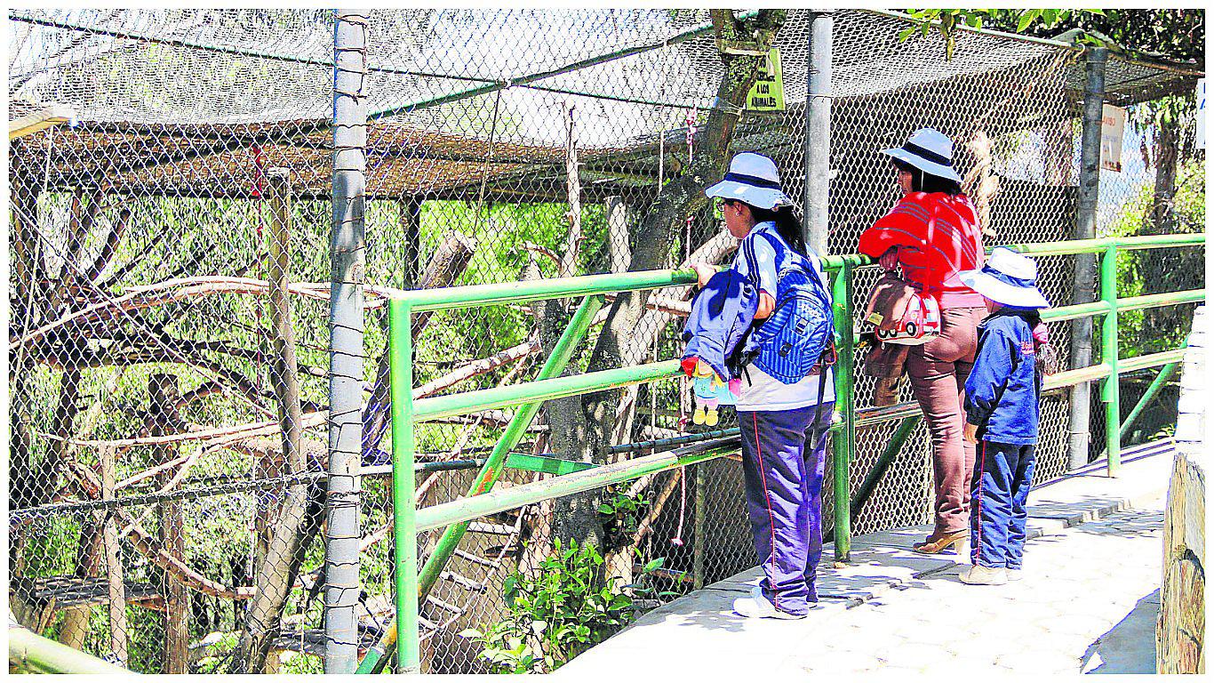 Área de cuarentena del zoológico de Huancayo ¿Para qué sirve?