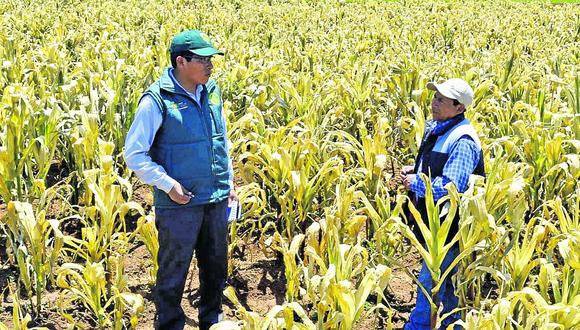 Senamhi pide prevención  ya que el Fenómeno El Niño afectará al agro en Junín