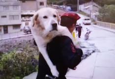 Apurímac: Policía hace un alto a operativo y rescata a perrito que era arrastrado por el río (VIDEO)