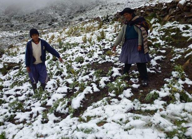 Heladas se intensificarán en la sierra sur y afectará a siete regiones