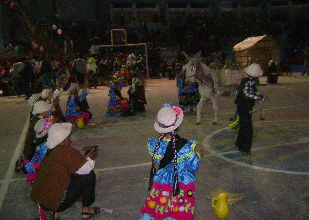 Colegio Mariscal Domingo Nieto ganó concursos de Corso y Festiomate