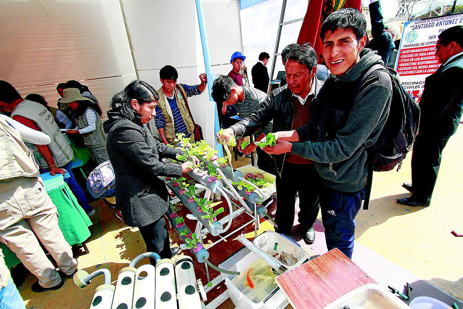 Acuaponía: El cultivo de peces y hortalizas