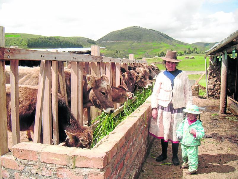 Producción láctea en la sierra es una mina de oro sin explotar